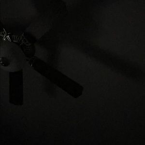 Meet your Posher, Lorenzo